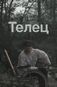 Телец