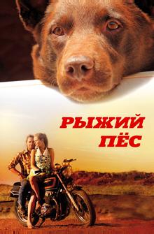 Рыжий пес Рыжий пес