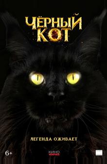 Черный кот Черный кот