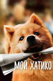 Мой Хатико Мой Хатико
