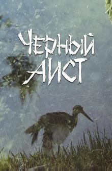 Черный аист Черный аист