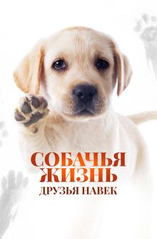 Собачья жизнь: Друзья навек Собачья жизнь: Друзья навек