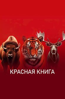 Красная книга Красная книга