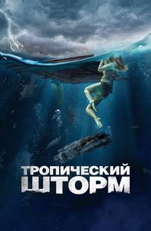 Тропический шторм Тропический шторм
