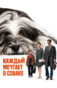 Каждый мечтает о собаке Каждый мечтает о собаке