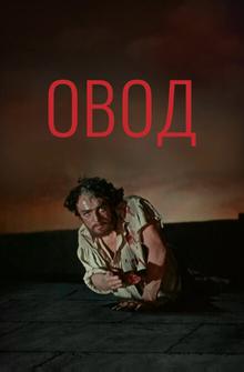 Овод Овод