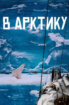В Арктику В Арктику