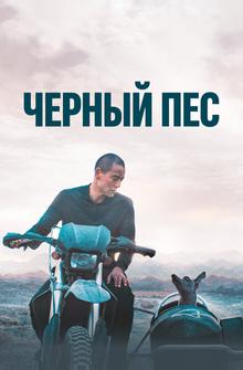 Чёрный пёс Чёрный пёс