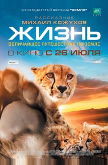Жизнь Жизнь