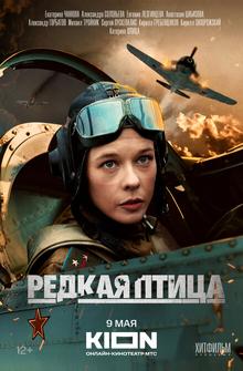 Редкая птица Редкая птица