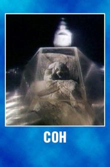 Сон Сон