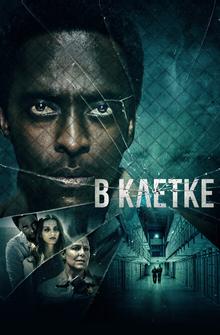 В клетке В клетке