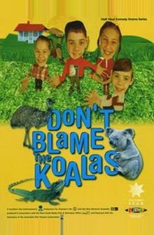 Коалы не виноваты Коалы не виноваты