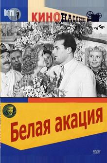 Белая акация Белая акация