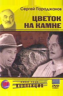 Цветок на камне Цветок на камне