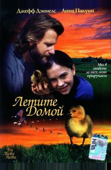 Летите домой Летите домой