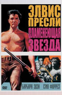 Пламенеющая звезда Пламенеющая звезда