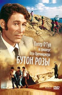 Бутон розы Бутон розы