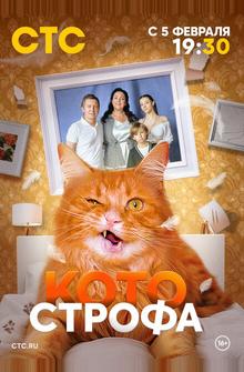 Котострофа Котострофа