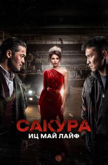 Сакура. Иц май лайф Сакура. Иц май лайф