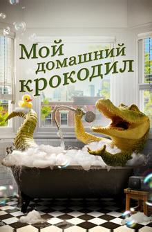 Мой домашний крокодил Мой домашний крокодил