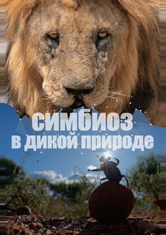 Симбиоз в дикой природе