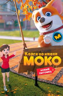 Корги по имени Моко. Новый питомец Корги по имени Моко. Новый питомец
