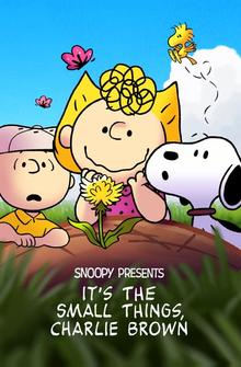 It's the Small Things, Charlie Brown It's the Small Things, Charlie Brown