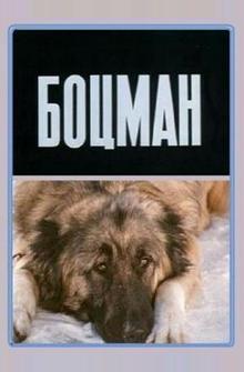 Боцман Боцман