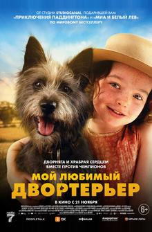 Мой любимый двортерьер Мой любимый двортерьер