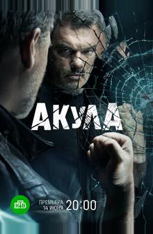 Акула Акула