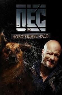 Пёс. Новогоднее чудо Пёс. Новогоднее чудо