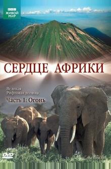 BBC: Сердце Африки
