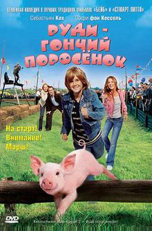 Руди – гончий поросенок Руди – гончий поросенок
