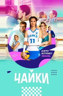 Чайки Чайки