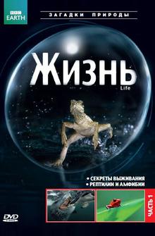 BBC: Жизнь BBC: Жизнь