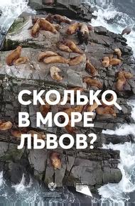 Сколько в море львов?